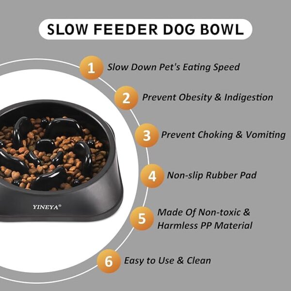 Dog Slow Feeder Bowl - Image 3