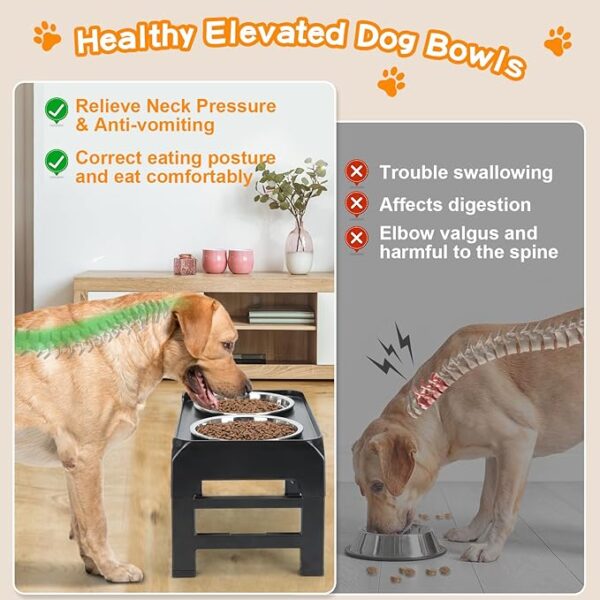 Elevated Dog Bowls - Image 3