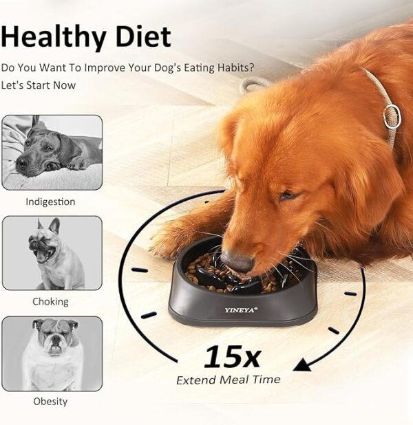 Dog Slow Feeder Bowl - Image 2