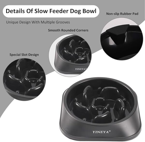 Dog Slow Feeder Bowl - Image 4